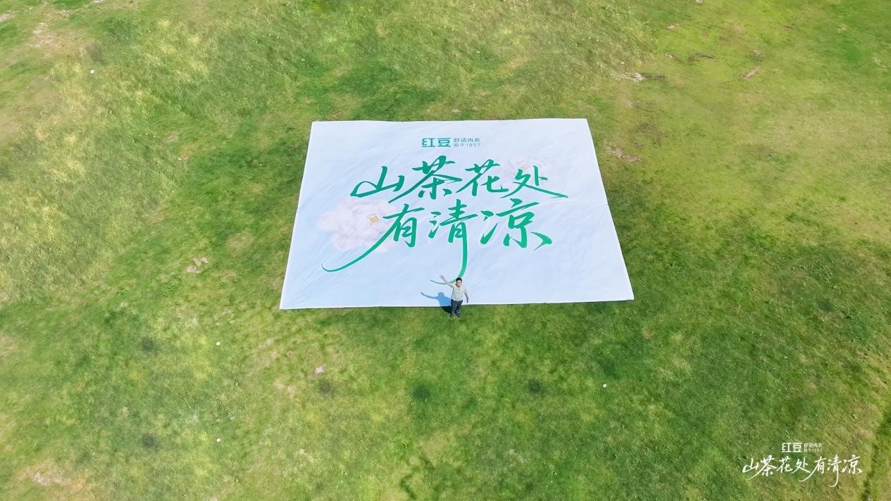 抖圈- 为du而生棉山茶花1